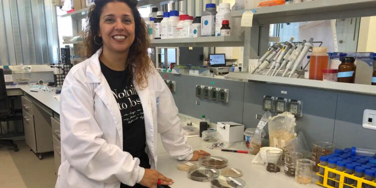 Unha científica do Cintecx utiliza residuos de aceite de oliva para depurar fármacos das augas residuais