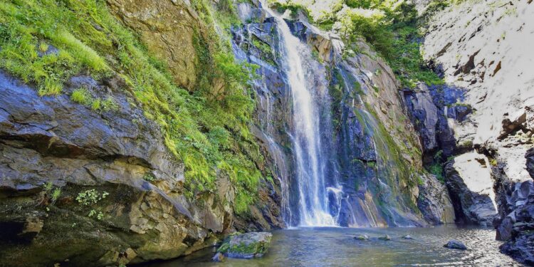 Se abre el plazo de inscripción para las últimas rutas del año de ‘Bosques Terapéuticos’