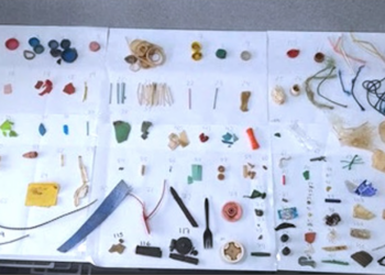 Científicos del Oceanográfico de Vigo cuantifican las concentraciones de metales en trozos de plástico