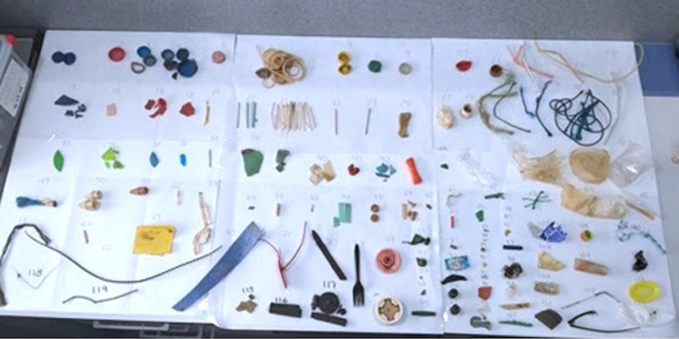 Científicos del Oceanográfico de Vigo cuantifican las concentraciones de metales en trozos de plástico