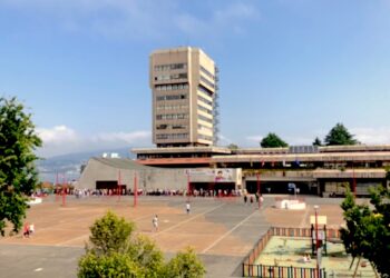 Cuando las colas también son un espectáculo