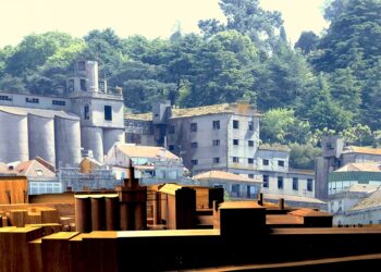 El destino incierto de la Panificadora