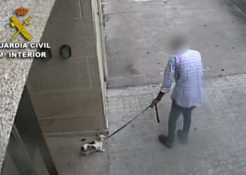 Denuncia un atropello a su perro en Baiona y acaba imputado por haberlo matado a golpes