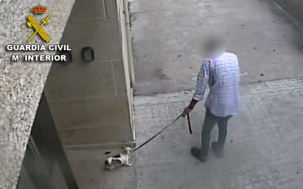 Denuncia un atropello a su perro en Baiona y acaba imputado por haberlo matado a golpes
