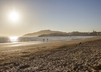 Nigrán pregunta: «¿Abrirías las playas a los perros en verano desde las 10 de la noche?»