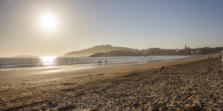 Nigrán pregunta: «¿Abrirías las playas a los perros en verano desde las 10 de la noche?»