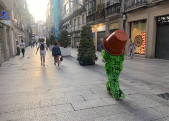 Una reivindicación ecologista en Vigo