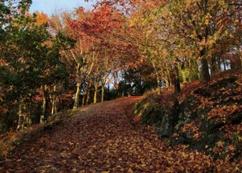 Ruta en familia con xogos tradicionais galegos no Castelo de Soutomaior