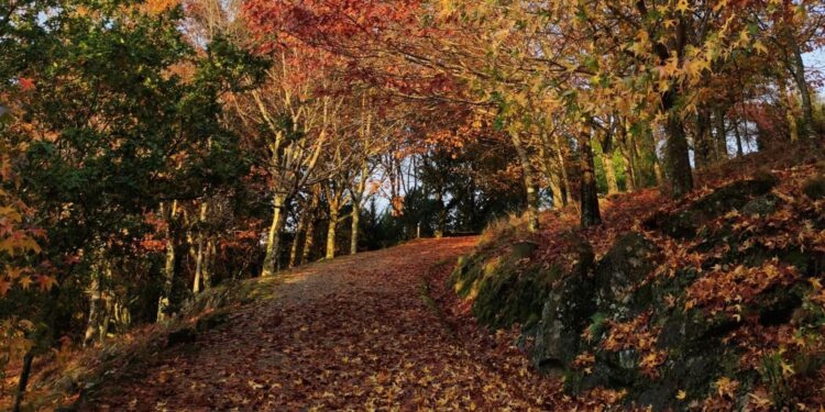 Ruta en familia con xogos tradicionais galegos no Castelo de Soutomaior