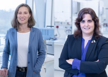 A fotosíntese como inspiración para buscar unha nova tecnoloxía de captación de enerxía solar