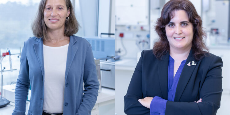 A fotosíntese como inspiración para buscar unha nova tecnoloxía de captación de enerxía solar