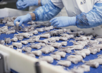 Preocupación en Conxemar ante la decisión de Europa de no ampliar los contingentes autónomos arancelarios