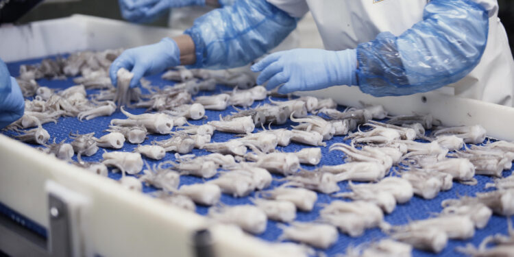 Preocupación en Conxemar ante la decisión de Europa de no ampliar los contingentes autónomos arancelarios