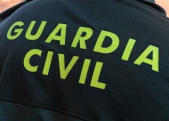 La Guardia Civil salva la vida a un hombre tras un shock anafiláctico en Tomiño: “Ayudadme, que no lo cuento”