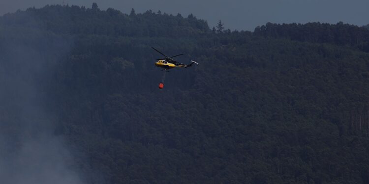 Estabilizado un incendio forestal en Mos que ha calcinado 3,29 hectáreas