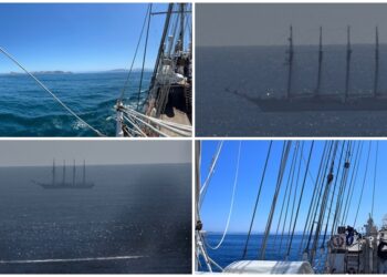 Así reciben los delfines al ‘Juan Sebastián Elcano’ en las Cíes