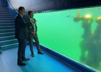 Explosión de flora y fauna en el observatorio submarino ‘Nautilus’
