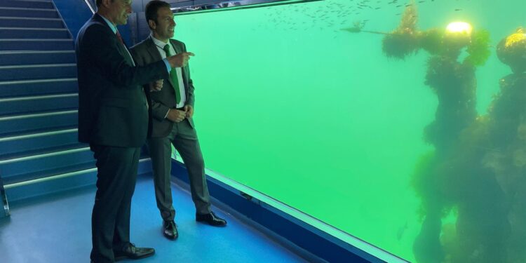 Explosión de flora y fauna en el observatorio submarino ‘Nautilus’