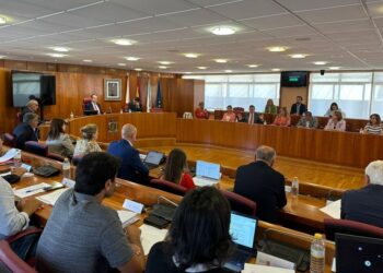 Silva abandona el pleno de Vigo durante la moción del PP sobre su «pataleta» por el edificio de la Diputación