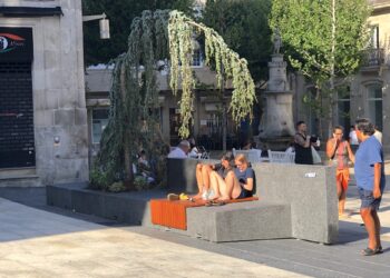 A la sombra del árbol