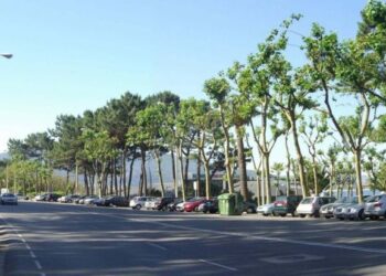 Vigo licita las obras para la regeneración dunar de Samil