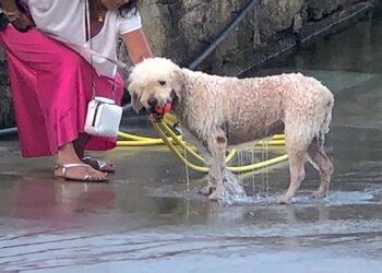 Combatiendo el calor