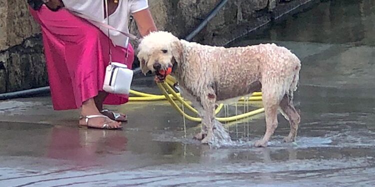 Combatiendo el calor