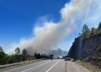 Extinguido el incendio forestal declarado junto a la vía rápida en O Rosal