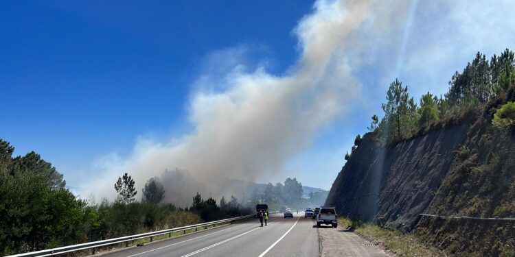 Extinguido el incendio forestal declarado junto a la vía rápida en O Rosal