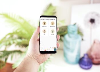 Mosquito tigre por primera vez en Galicia: ¿Qué hacer si te pica?