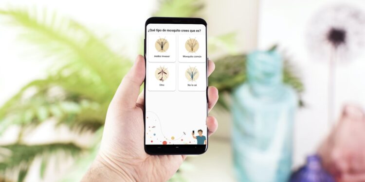 Mosquito tigre por primera vez en Galicia: ¿Qué hacer si te pica?