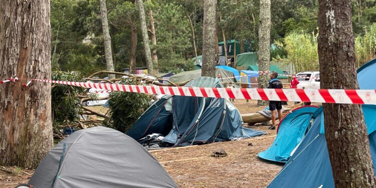 Cuatro heridos, dos de ellos de gravedad, tras caer la rama de un árbol sobre una tienda de campaña en Cíes