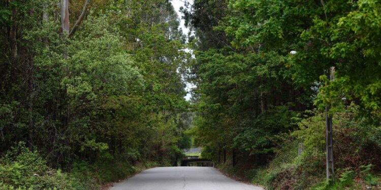 La Audiencia obliga a la Comunidad de Montes de Cabral a admitir a seis vecinos
