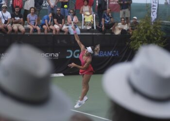 Fett remonta a Pattinama y da a Croacia el segundo título consecutivo en el internacional de tenis de Vigo