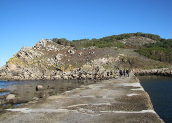 Vigo ofrece 2.000 plazas gratuitas para realizar rutas de senderismo guiadas y en familia por las islas Cíes