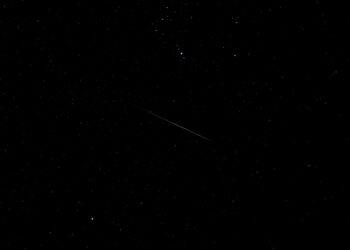 Vigozoo abre las reservas para observar la lluvia de estrellas con un chocolate caliente