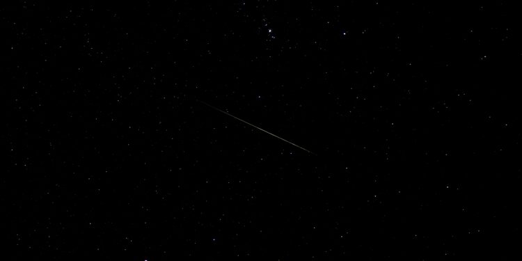 Vigozoo abre las reservas para observar la lluvia de estrellas con un chocolate caliente