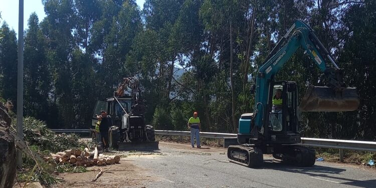 Comienzan las obras del aparcamiento disuasorio de Domaio