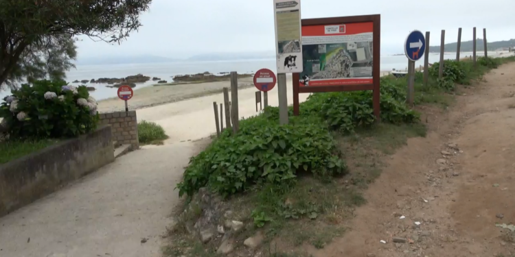Playa de A Calzoa en Vigo: de convivencia armoniosa a conflicto diario