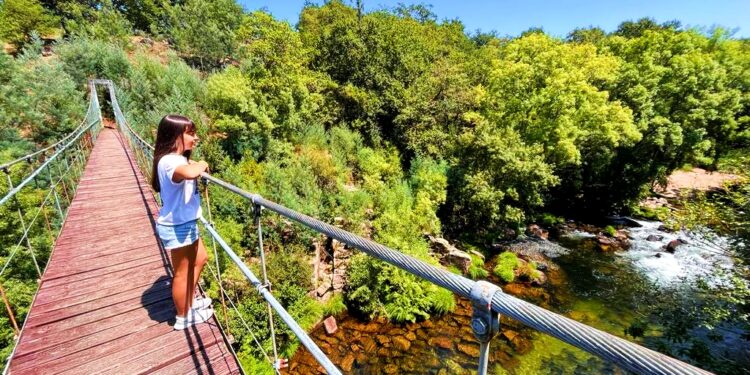 ‘Bosques terapéuticos’ concluye con rutas por Bembrive y el puente colgante del Lérez