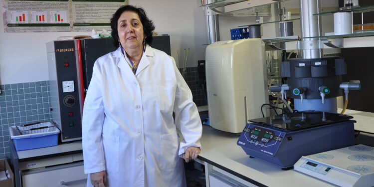 La UVigo desenvolve unha nova terapia fronte a tumores metastásicos baseada en nanomateriais activados por raios X