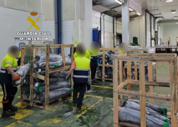 Intervenidas más de 15 toneladas de pez espada sin documentación en un camión en Rande