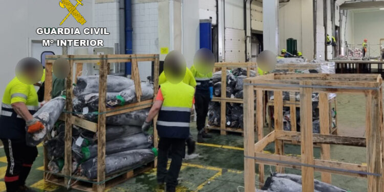 Intervenidas más de 15 toneladas de pez espada sin documentación en un camión en Rande