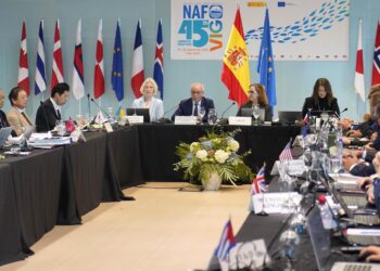 Armadores esperan aumentos de cuotas en especies como el bacalao en la reunión de NAFO en Vigo