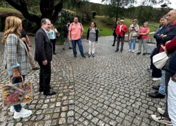 Éxito de las visitas guiadas gratuitas a las galerías de O Castro: sin plazas para septiembre