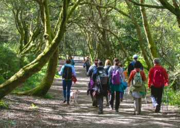 Estas son las ocho actividades gratuitas que ofrecerá Camiño a Camiño durante el otoño de 2023