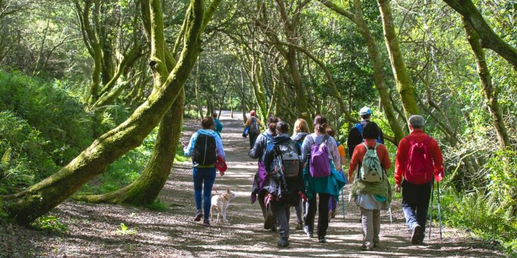 Estas son las ocho actividades gratuitas que ofrecerá Camiño a Camiño durante el otoño de 2023