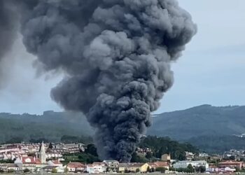 Un virulento incendio arrasa el vivero de Sabarís
