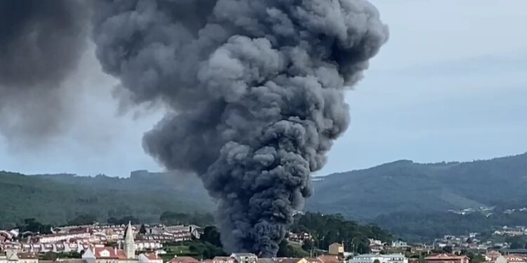 Un virulento incendio arrasa el vivero de Sabarís