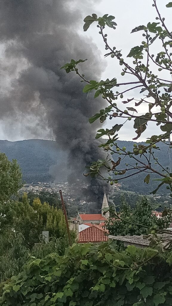 Declarado un virulento incendio en el vivero de Sabarís